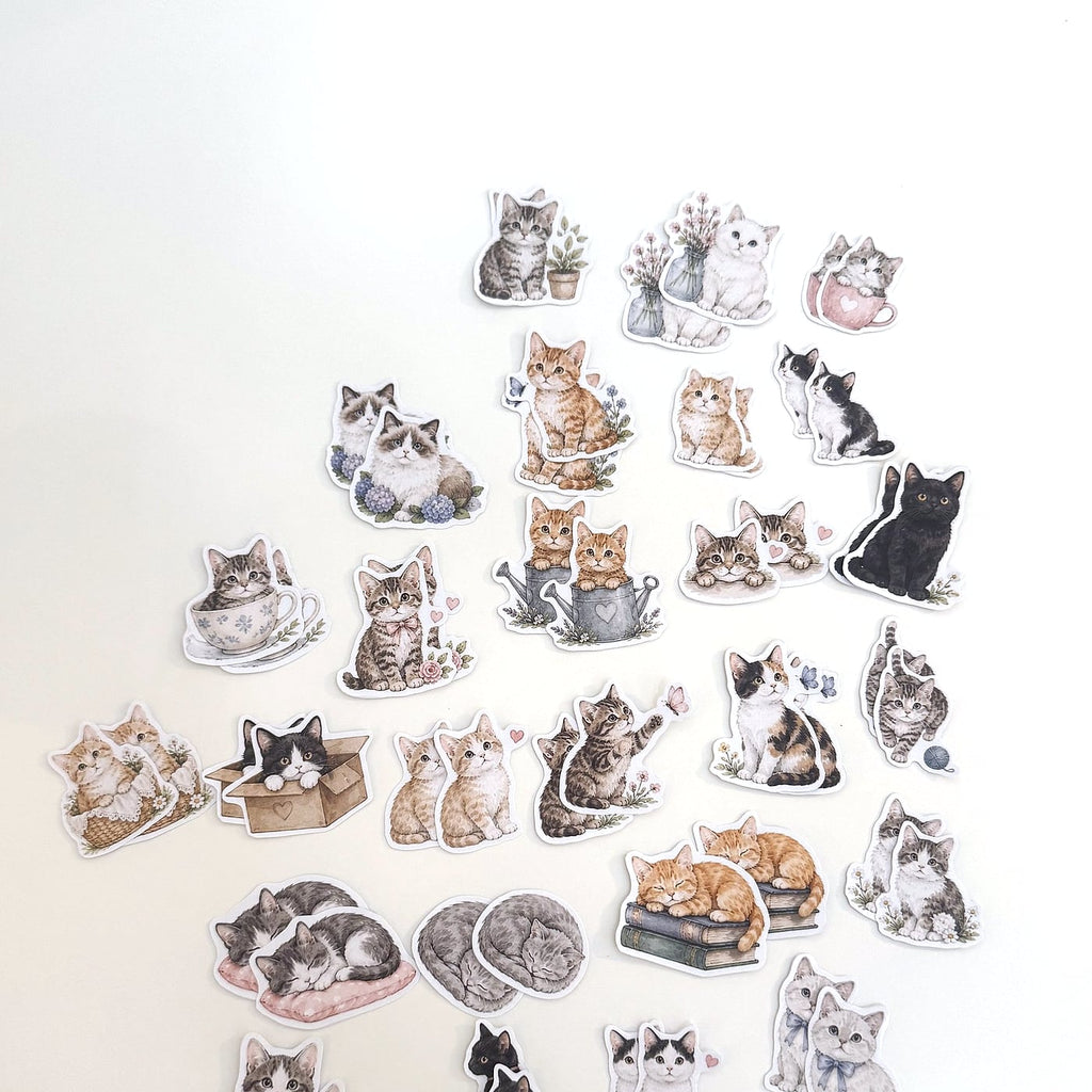 Crazy About Cats and Kittens sticker pack