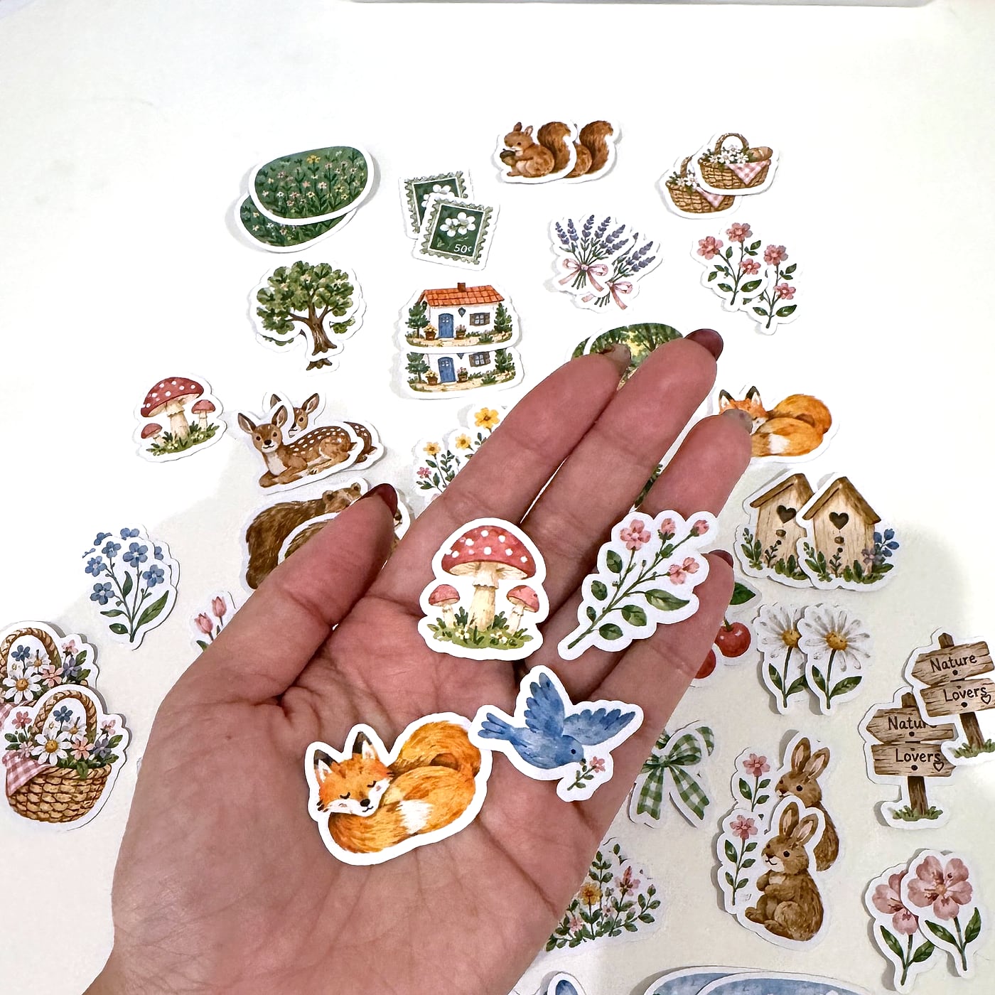 Nature’s Little Friends sticker pack, photo 2